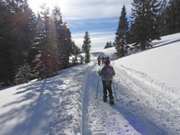 X2019-01-14 1039 But it was fun giving them a walk.jpg
